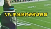 全球体坛运动员平均薪资前五赛事!美四大联盟全部上榜!第一恐怖