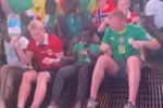 足球该有的样子!挪威球迷赛后教塞内加尔球迷维京划桨