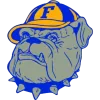 费斯克