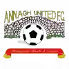 安纳