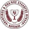 蒂耶拉卡西卡